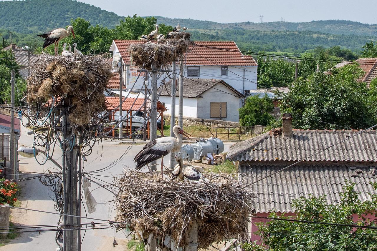 Bed & Breakfast Delikates Stojakovo Экстерьер фото
